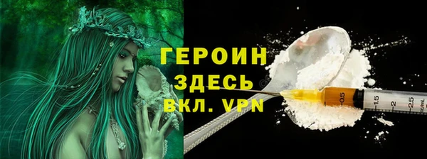 гашик Няндома