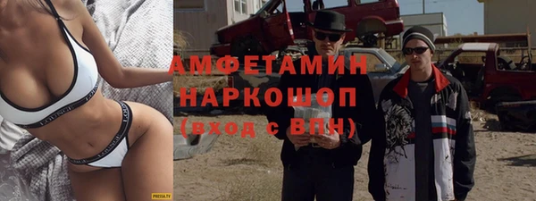 гашик Няндома