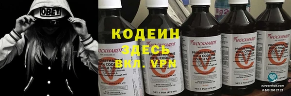 гашик Няндома
