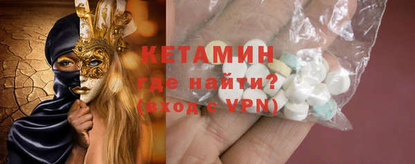 гашик Няндома