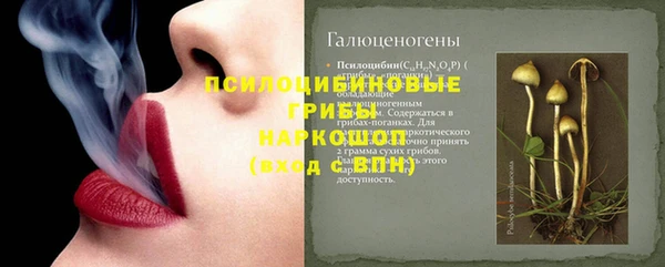 гашик Няндома