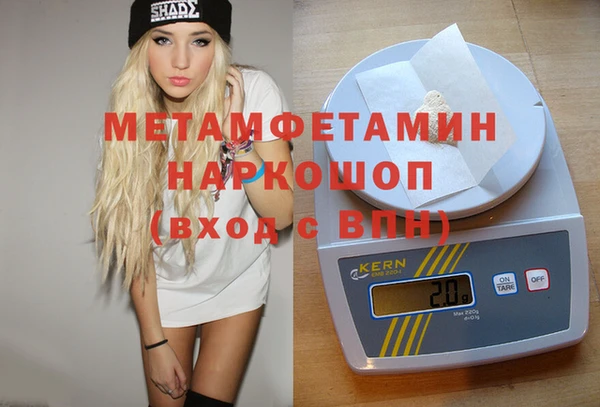гашик Няндома