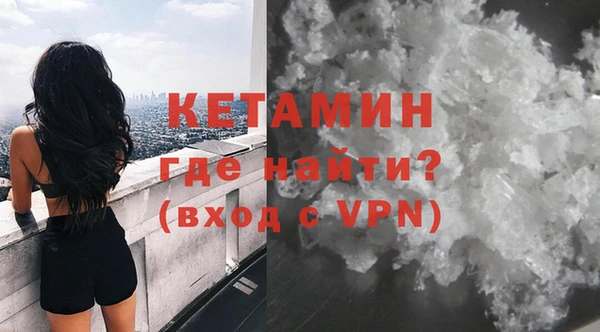гашик Няндома