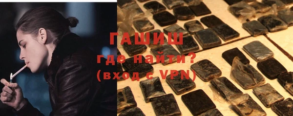 гашик Няндома