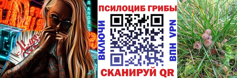 Псилоцибиновые грибы Cubensis  shop какой сайт  Руза 